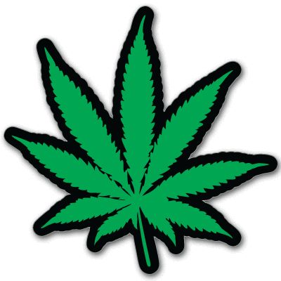 Cannabis Weed Marijuana HEMP car bumper sticker 4 x 4  