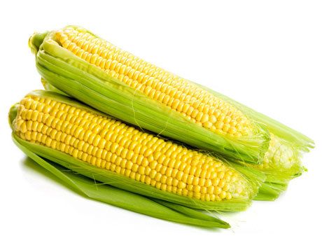 Corn   Big Jim   Extra Large Yellow Ears   Tender and Juicy Sweetcorn 