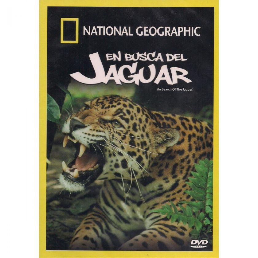   Busca Del Jaguar / In Search Of The Jaguar DVD NEW National Geographic