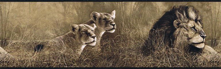 JUNGLE,SAFARI ANIMALS,LIONS wallpaper border SP76463  